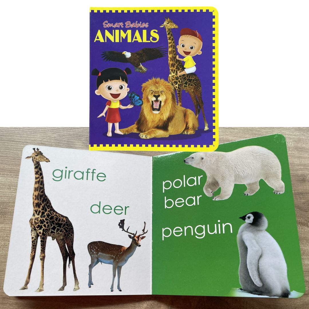 Smart Babies Board Book (ABC / Animals / Numbers / Shapes and Colors) (4 books) no box