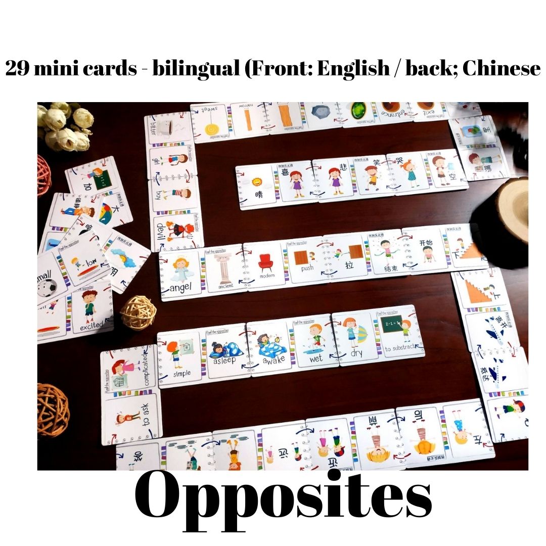 OPPOSITES (mini flashcards) 29 pcs
