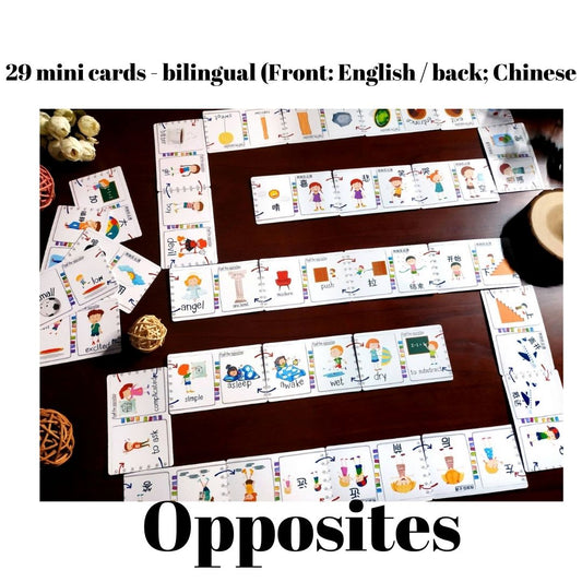OPPOSITES (mini flashcards) 29 pcs
