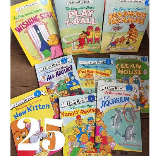 Berenstain Bears I CAN READ set (25 books) no box