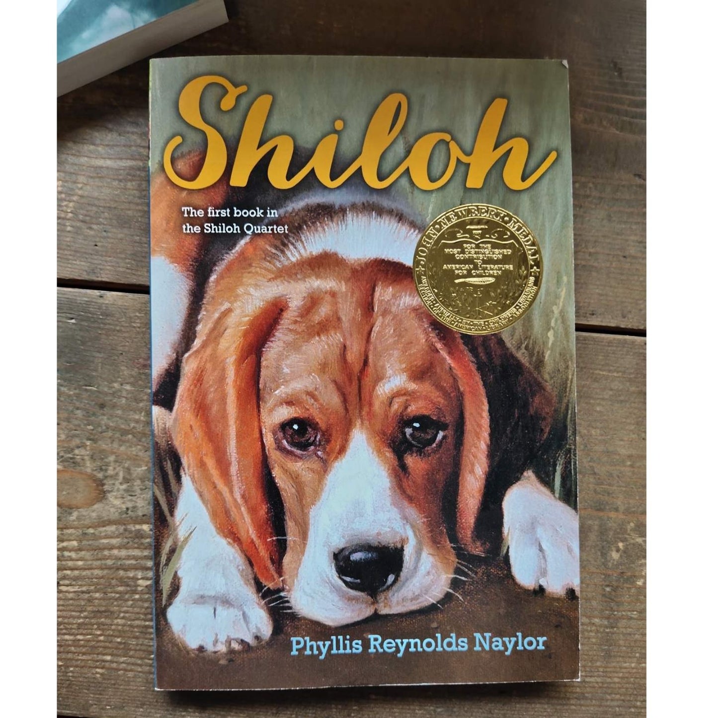 Shiloh (softcover) chapter book