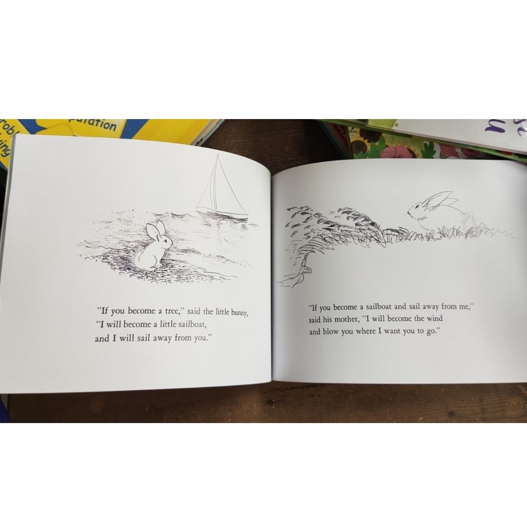 The Runaway Bunny (softcover) by Margaret Wise Brown