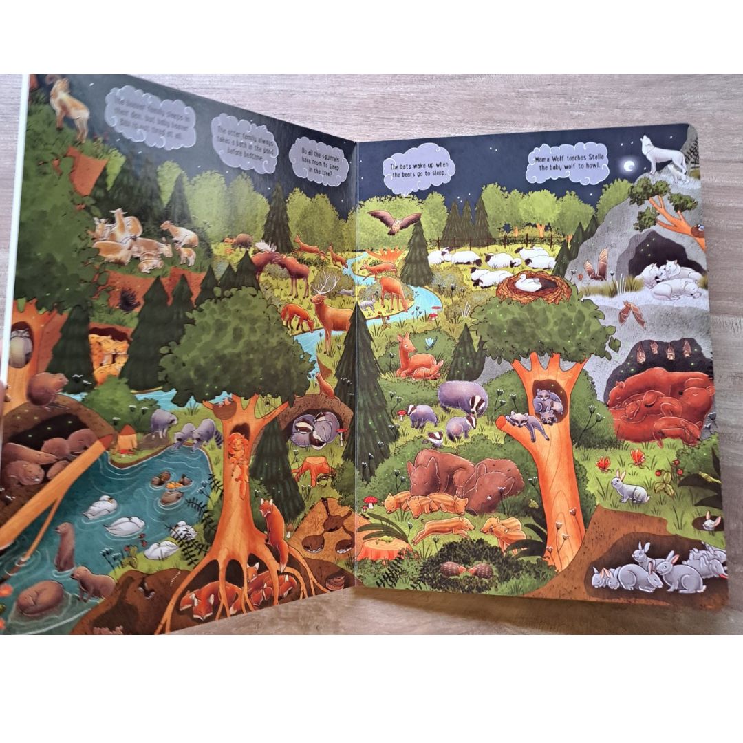 My Big Wimmelbook—Good Night  Alexandra Helm (board book)