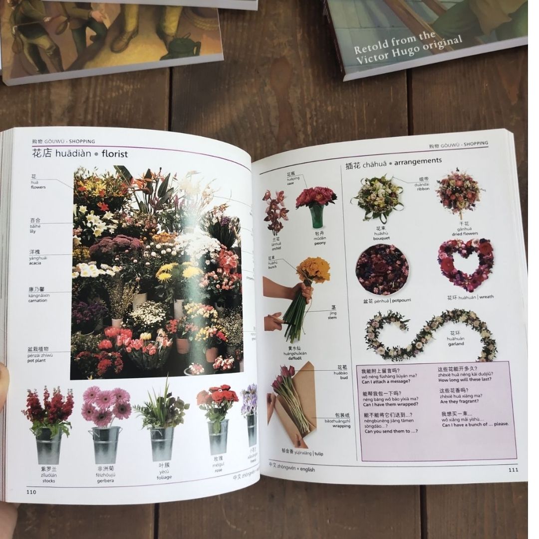 Mandarin Chinese-English Bilingual Visual Dictionary (Paperback) Brand new softcover