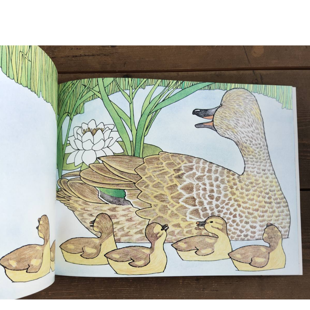 Have You Seen My Duckling? by Nancy Tafuri (softcover)