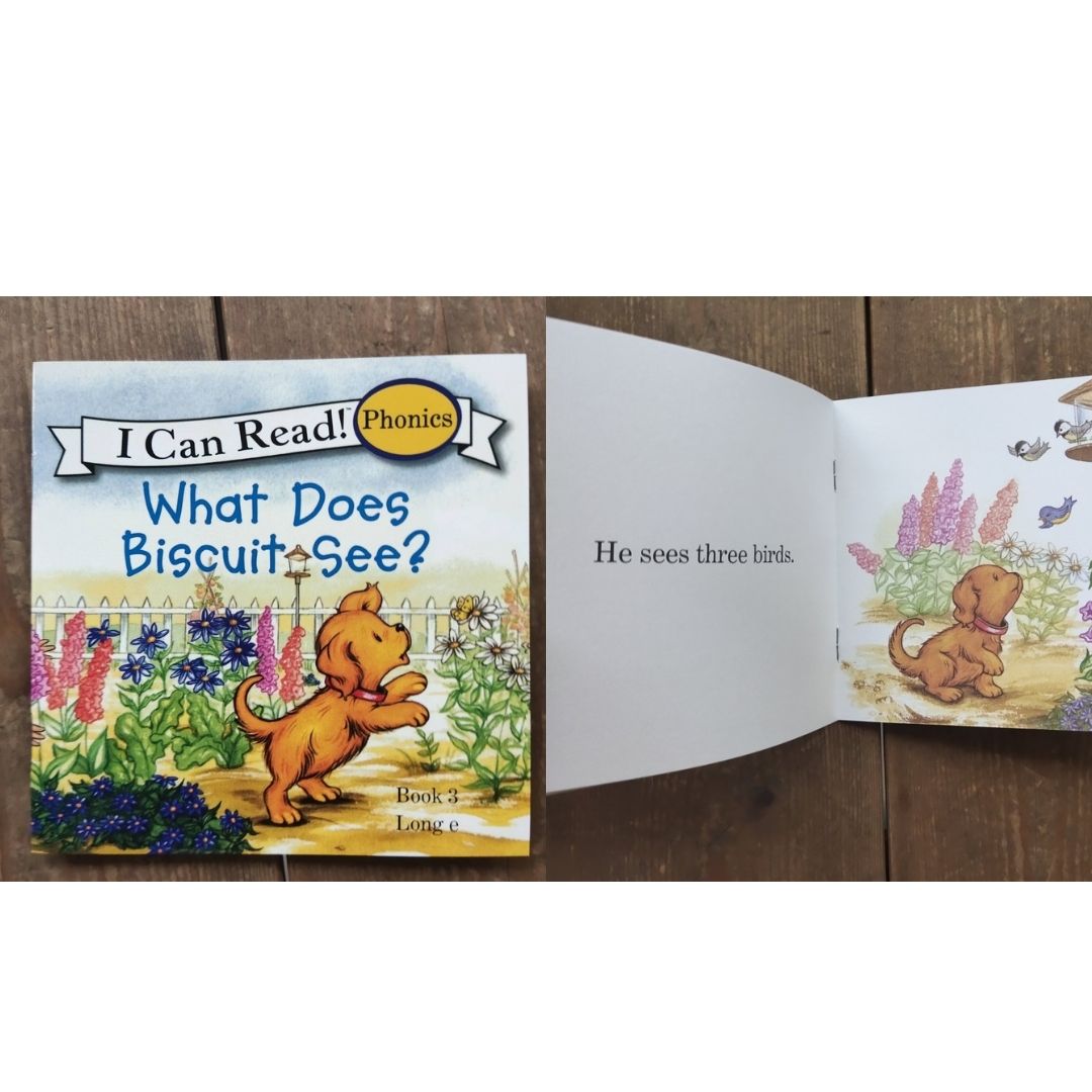 Biscuit I Can Read Phonics (24 books) Mini books, 5 by 5 inches, NO BOX