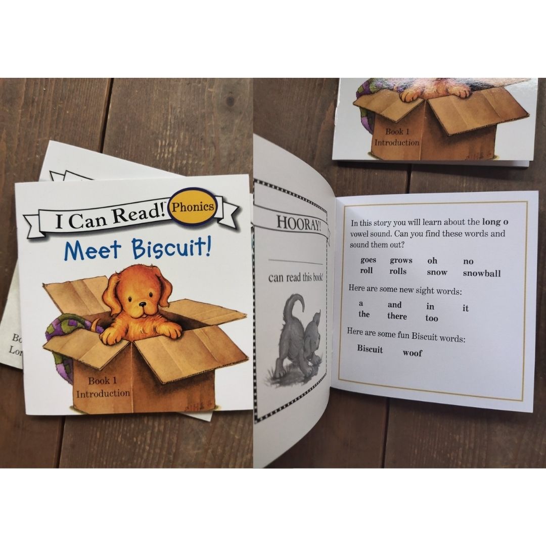 Biscuit I Can Read Phonics (24 books) Mini books, 5 by 5 inches, NO BOX
