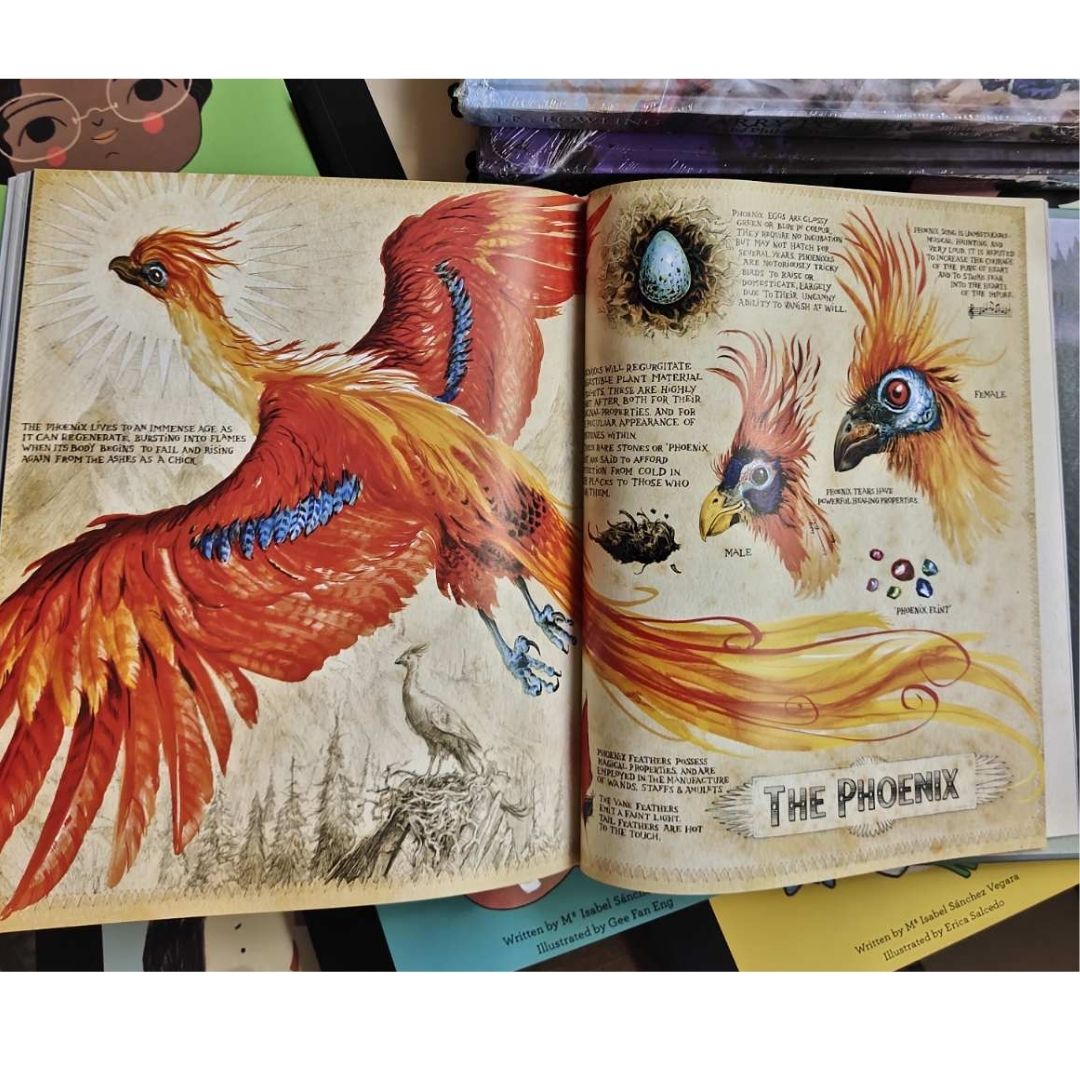 Harry Potter Illustrated Edition (4 Books) Collection - brand new hardcover, slight dents on book cover