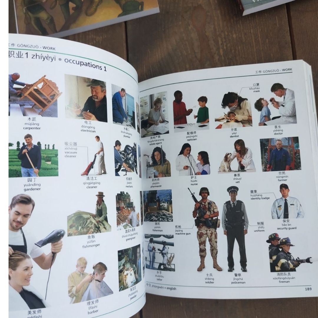 Mandarin Chinese-English Bilingual Visual Dictionary (Paperback) Brand new softcover