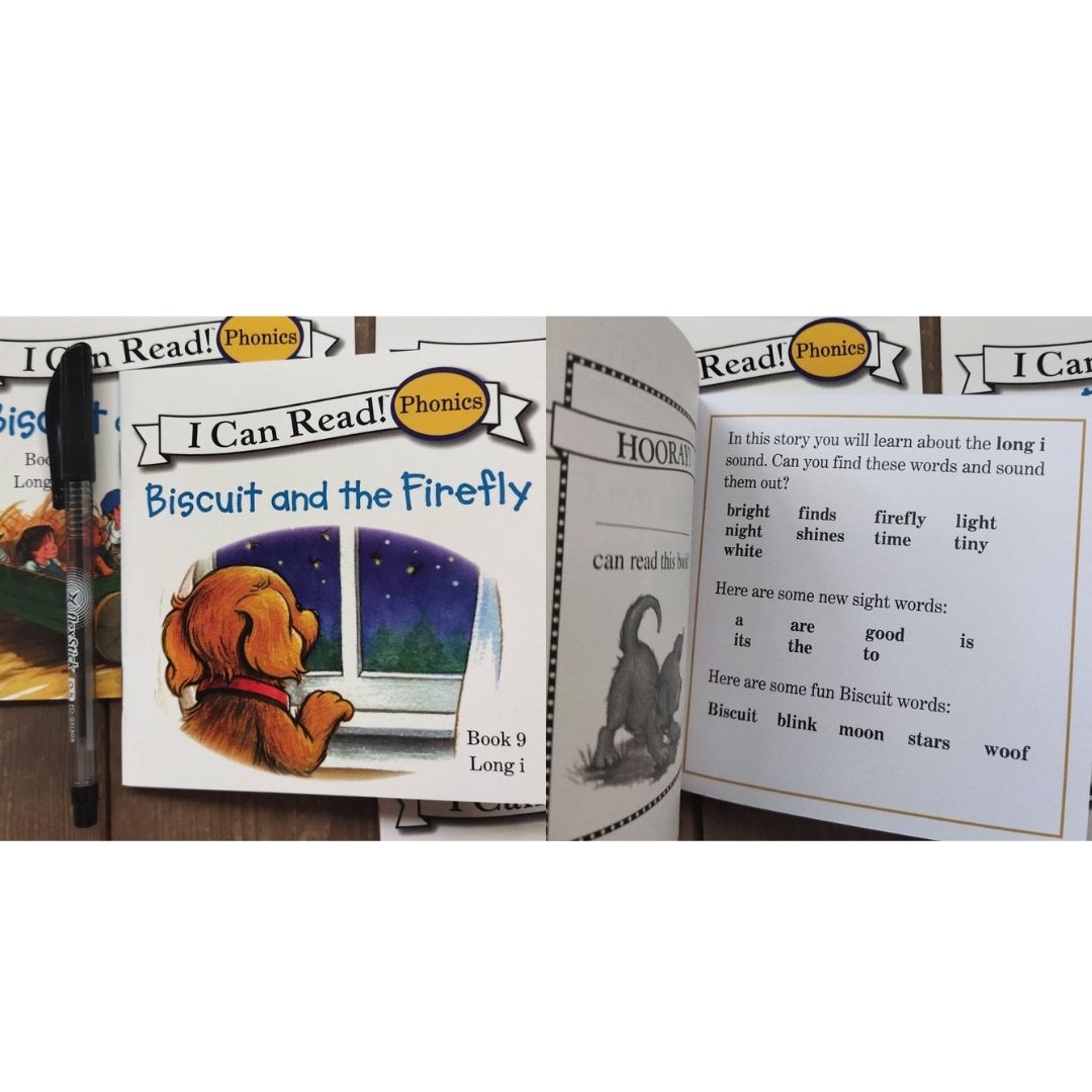 Biscuit I Can Read Phonics (24 books) Mini books, 5 by 5 inches, NO BOX