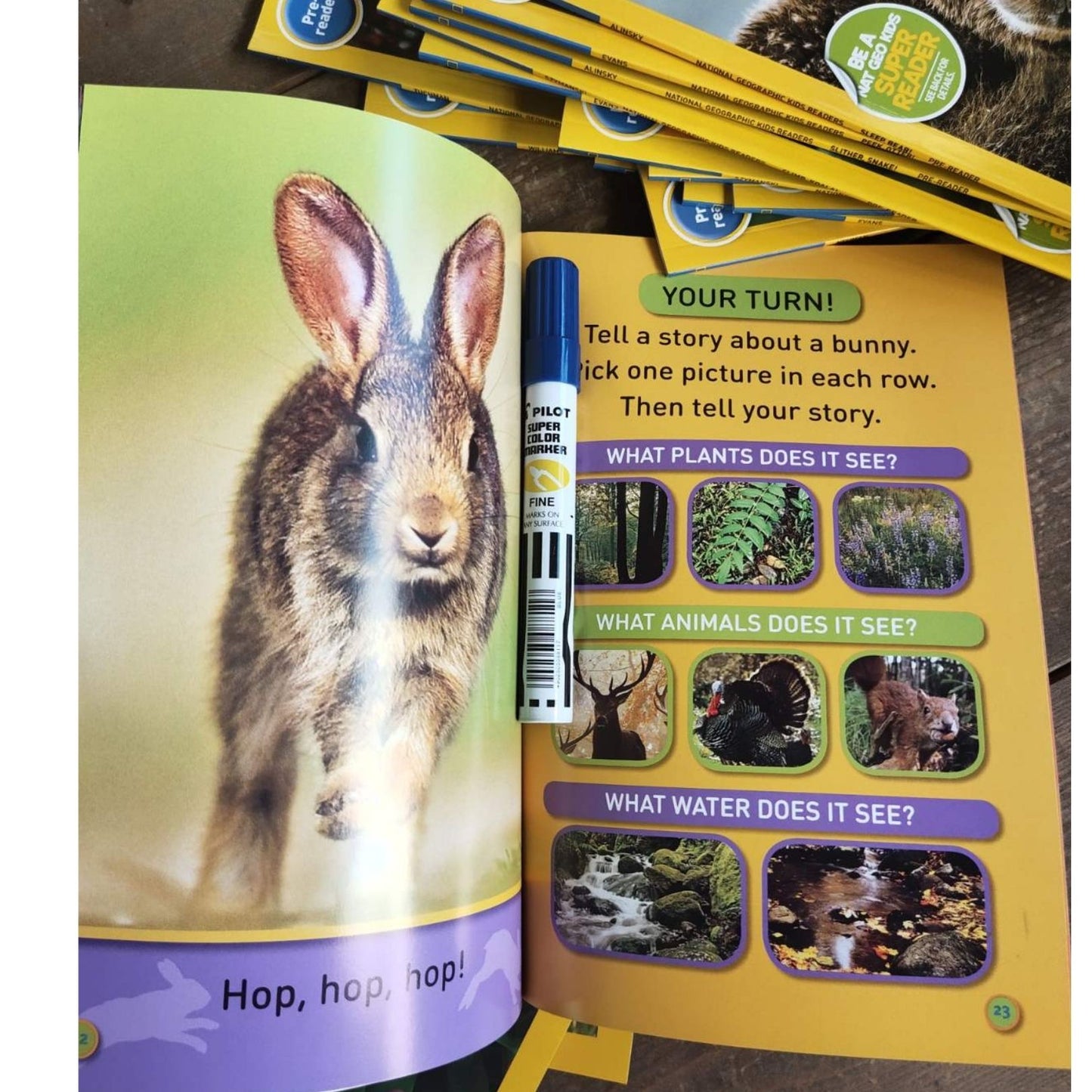 PRE-READER: NATGEO National Geographic Books for Kids (30 books)