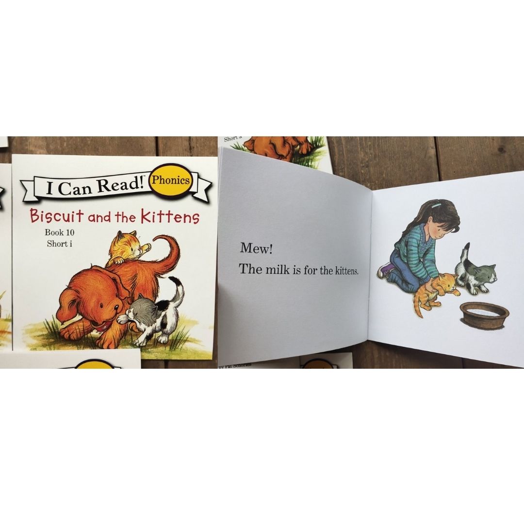 Biscuit I Can Read Phonics (24 books) Mini books, 5 by 5 inches, NO BOX
