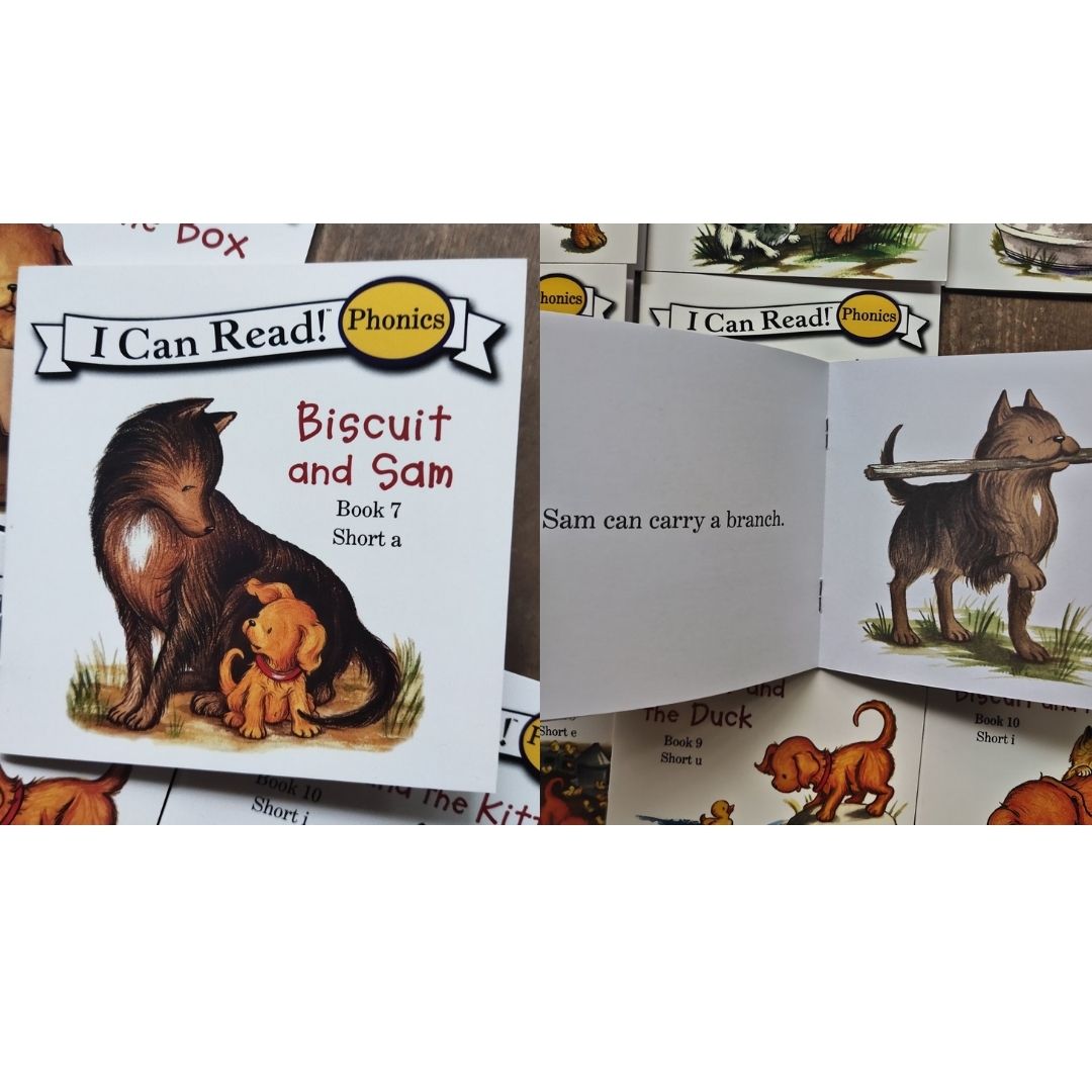 Biscuit I Can Read Phonics (24 books) Mini books, 5 by 5 inches, NO BOX