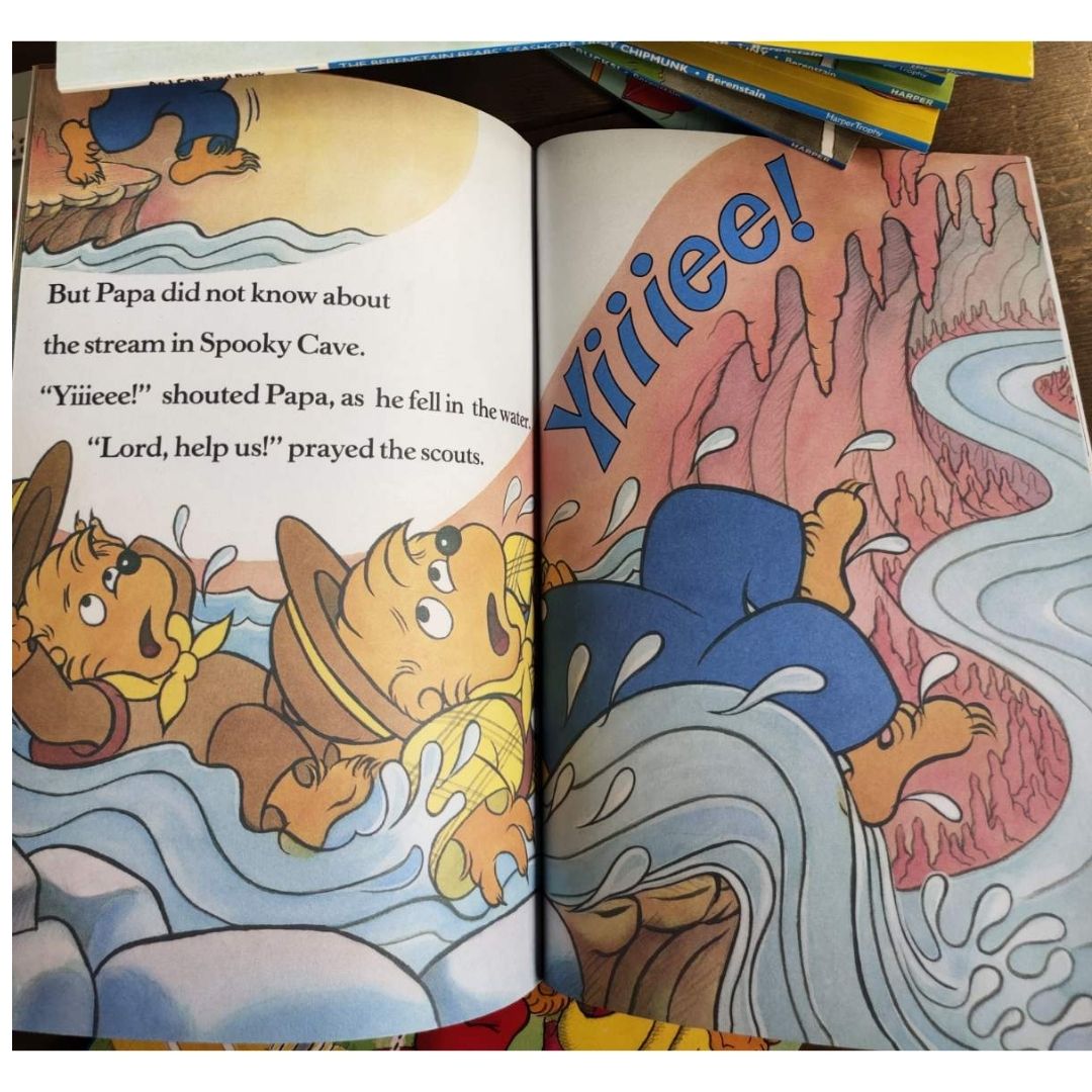 Berenstain Bears I CAN READ set (25 books) no box